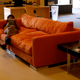Illustration for article titled The Perfect Couch For a Lazy Gizmodian